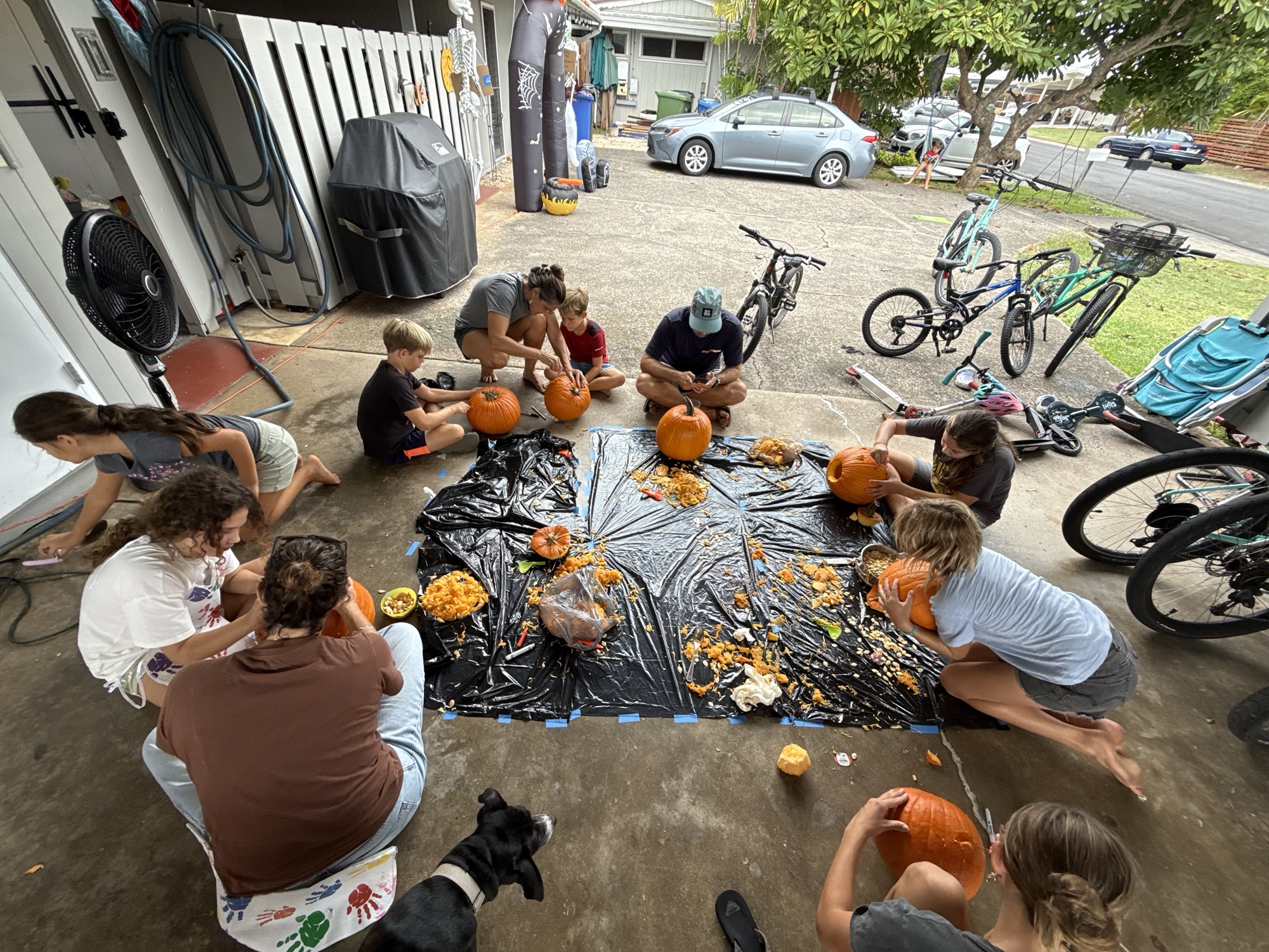 Happy Halloween 🎃 – Hawaii Vogelzangs